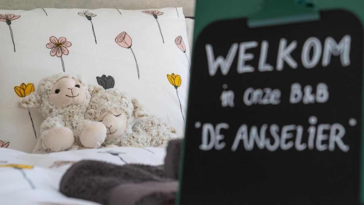 Bed and Breakfast De Anselier Ansen Экстерьер фото